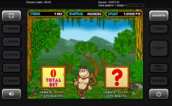 Crazy Monkey x224