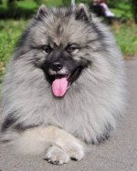 B27BB84B 333B 428F 88DF ABB013128AC6