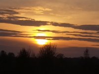 IMG 20220511 202106