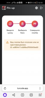 Screenshot_20240618_223328_com.yandex.browser.jpg