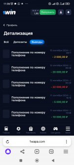 Screenshot_2024-09-17-11-06-39-088_com.yandex.browser.jpg