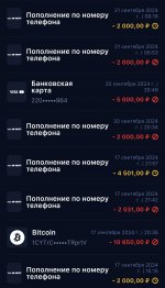 Screenshot 20240921 131814