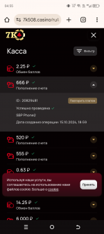 Screenshot_20241017-045538.png