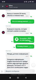 Screenshot_2024-12-25-20-38-01-165_com.yandex.browser.jpg