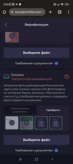 Screenshot_2024-12-28-02-02-49-754_com.android.chrome.jpg