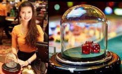  06b269292c54c583659e7e8583c63e523 edited