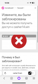 IMG_3755.png