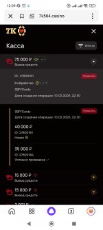 Screenshot_2025-02-18-12-09-46-002_ru.yandex.searchplugin.jpg