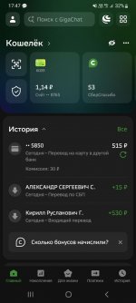 IMG 20250324 174737 004