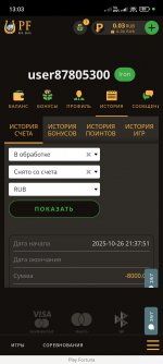 Screenshot_2025-10-29-13-03-44-749_com.yandex.browser.jpg