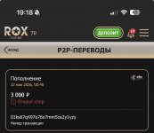 IMG_3245.jpeg