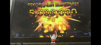 Изображение WhatsApp 2024-01-22 в 14.46.09_f7437565.jpg