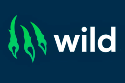 Wild io logo
